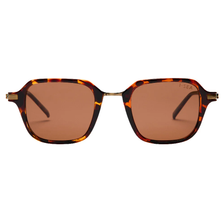 Riley - Tortoise/Brown