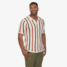 Striped Knit Polo - Stripes
