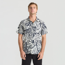 Bless Up - Black Monstera