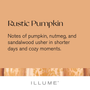 Rustic Pumpkin Candle
