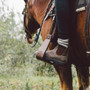 Women's 550 Boot - Rustic Brown