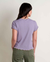 Foothill Pointelle Short Sleeve - Aster