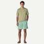 Men's Baggies Long 7 In - Thin Ice