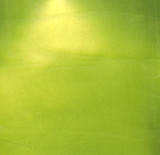 Pink Ink Designs - Multi Surface Paint - Golden Lime Lustre 50ML
