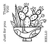 Woodware Succulent Display 4 in x 4 in Stamp