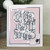 Sue Wilson Big Bold Words Christmas Craft Die & Stamp Set
