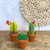 Mini Cacti Crochet Kit