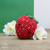 Strawberry Bag Pendant Crochet Kit