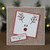 Festive Faces Clear Stamp Set by Jane Gill