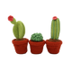 Cacti Crochet Kit