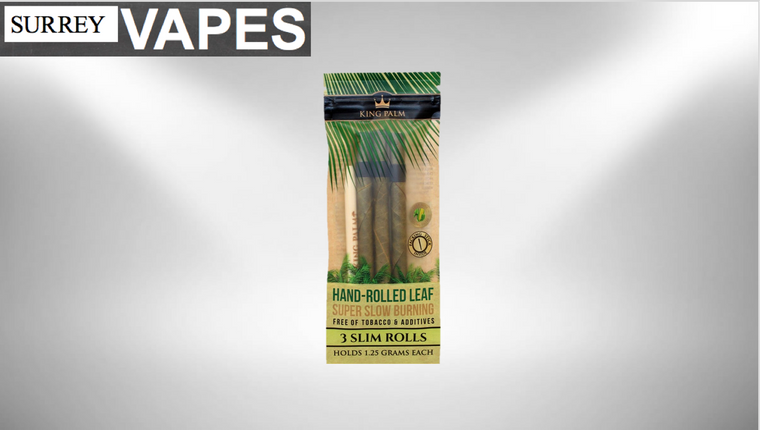 King Palm Pack of 3