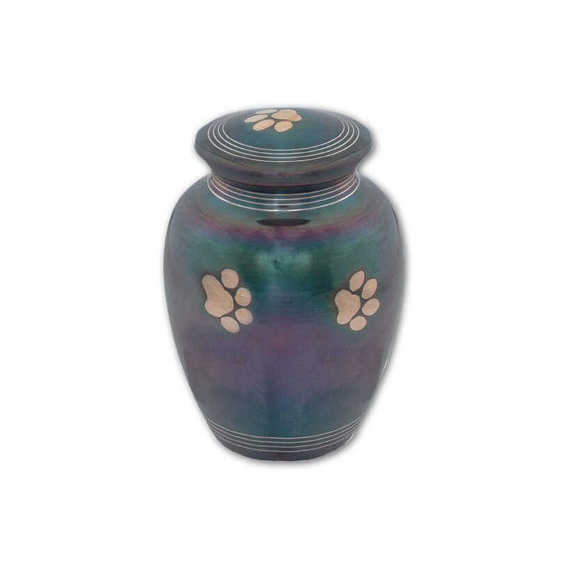 rainbow pet urn