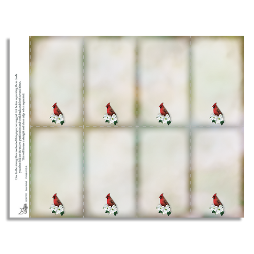 Lifetime Expressions Cardinal Funeral Stationery Memorial Prayer Card Blank LE907-PC Lifetime Expressions Cardinal Funeral Stationery Memorial Prayer Card Blank LE907-PC