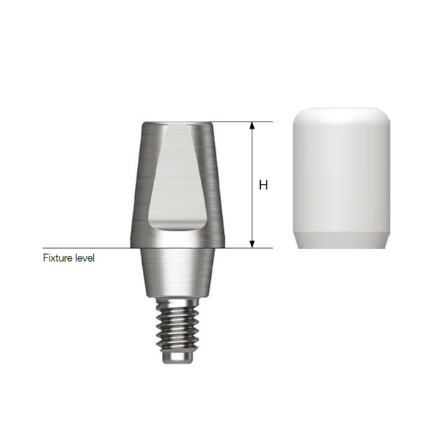 SS Exellent Solid Abutment