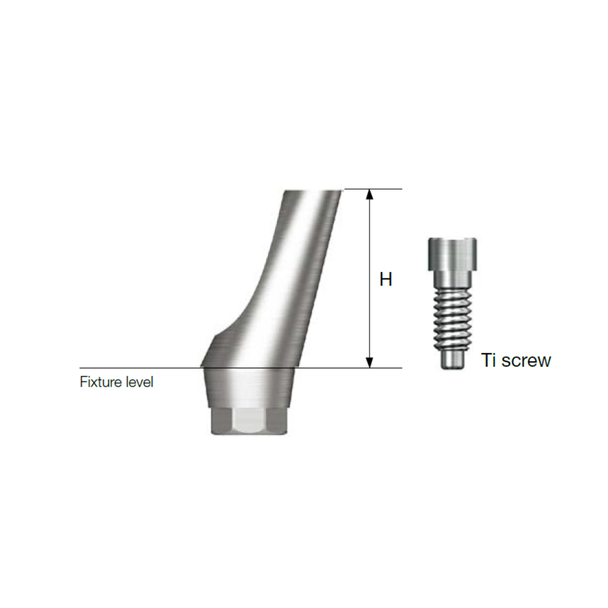 SS ComOcta Angled Abutment