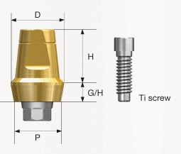 SS  Abutment Screw