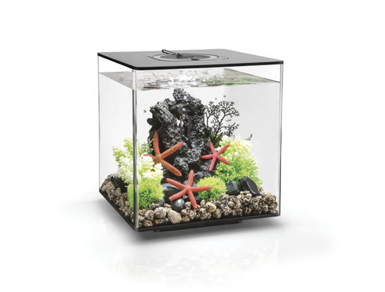 Aquarium BiOrb Life 30 MCR noir Design