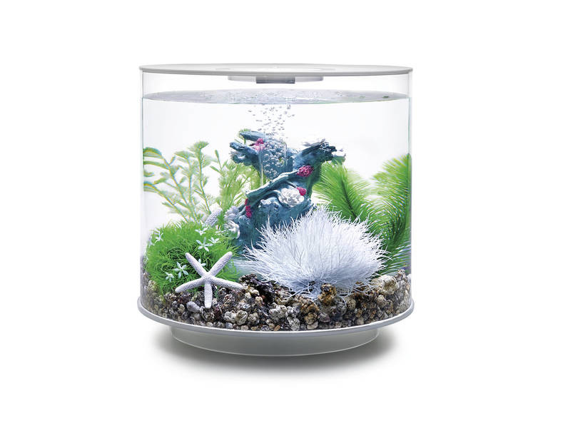 biorbセット(水槽15L) 値下げ(新品未使用)biOrb HALO 15 MCR 水槽 人工