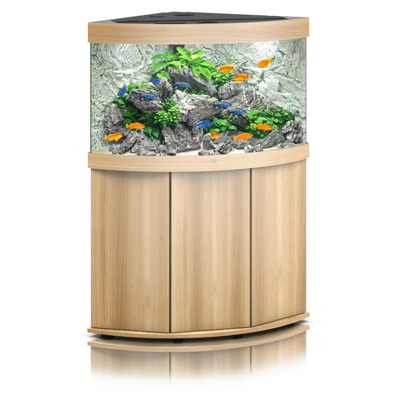 Amorous Illustrer Akkumulering Trigon 190 Light Wood | Juwel Aquarium Kit | World of Water