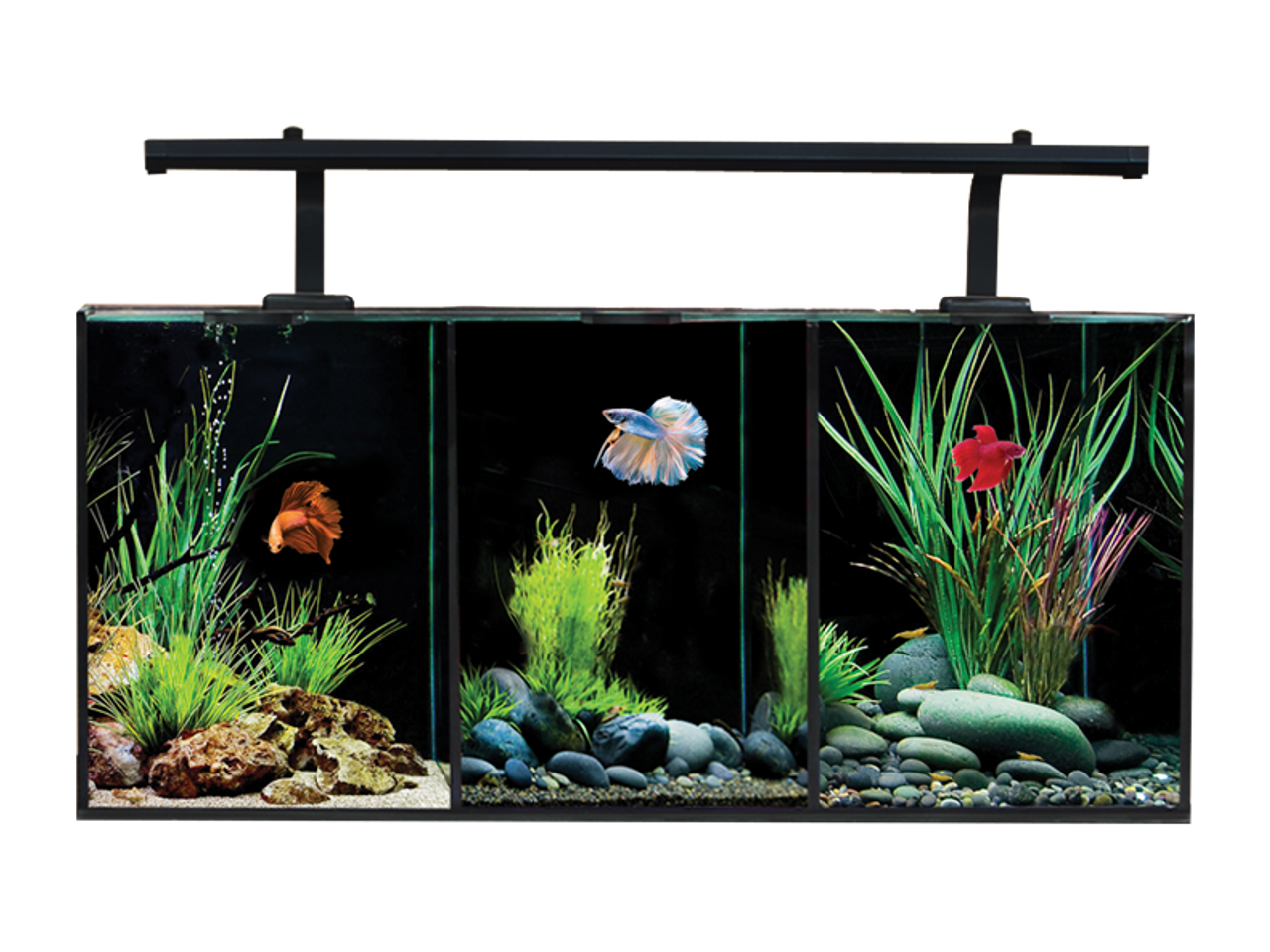 I have one betta in 10l( 2,5 gal) aquarium with hang on the back