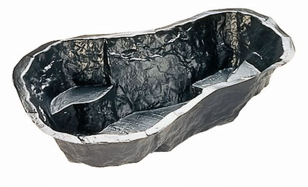 Pond roach Clearance