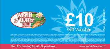 £10 WOW Gift Voucher