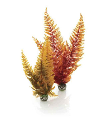 biOrb Aquatic Autumn Fern Set 2