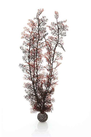 biOrb Sea Fan XL Crimson