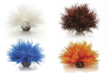 biOrb Aquatic Sea Lily