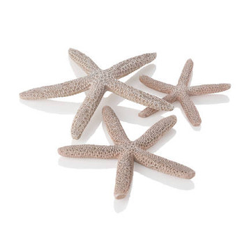 biOrb Starfish Set 3 Natural