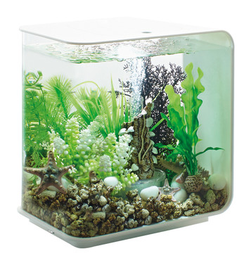 Acquista Oase 72034 Acquario biOrb FLOW 30 LED weiß 30 l con illuminazione  a LED da Conrad