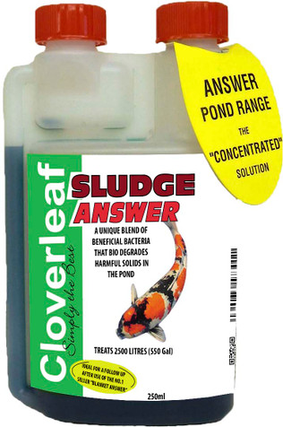 Cloverleaf Sludge Answer 250ml