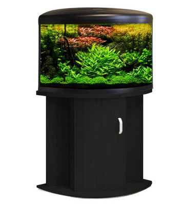 aqua one fish tank for sale