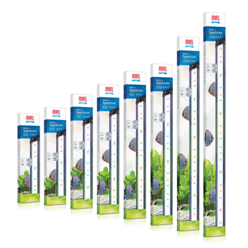 920 Spectrum Helilux LED