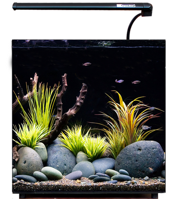 Aqua One Aquarium Fish Tank ReadyScape Mangrove Root Forest Ornament - Large