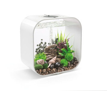 Biorb Aquariums From Oase