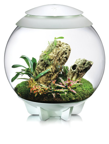 A spherical terrarium with a white base
