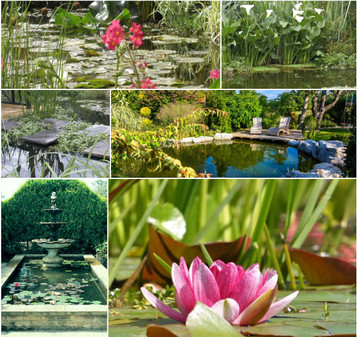 6m² Ready To Go New Pond Collection (Ponds 3m x 2m)