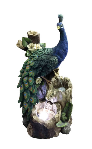 HAMAC Peacock on Tree Trunk