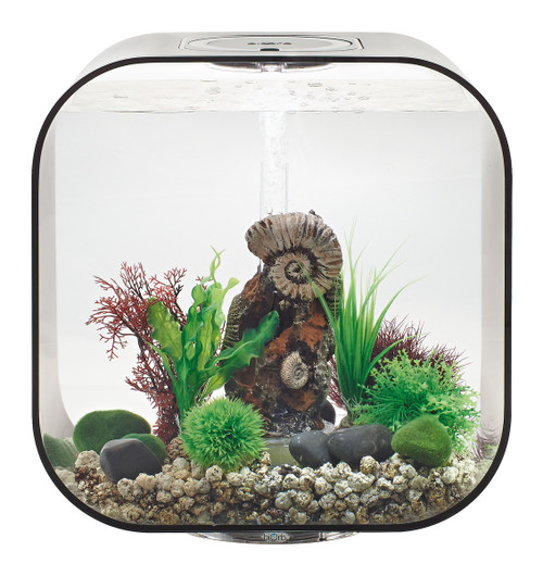 LIFE 30 Black biOrb Aquarium | LED Multi Colour Remote | Deals