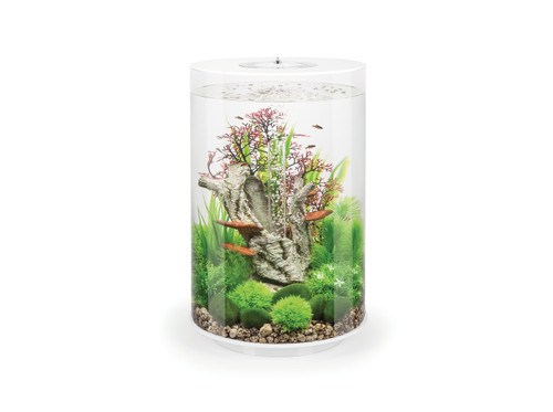 Biorb Tube 30 Aquarium | MCR Lighting | White Finish