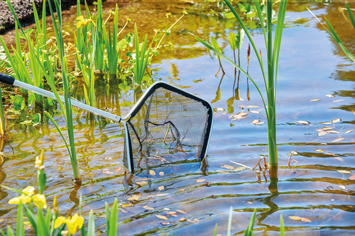 Oase Pond Net  rectangular net