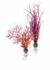 biOrb Plant Set M Red & Pink