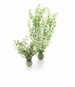 biOrb Aquatic Winter Flower Set 2