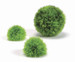 biOrb Aquatic Topiary Ball Set 3 Green