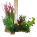 medium decor plants