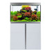White Siena 272

