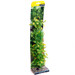 Aqua One 40cm Green Hygro Fish Tank Plants