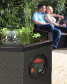Panier De Plantation Pour Piscine Blagdon - Compatible Grande Piscine Affinity Living Water, Fixation Par Goupilles, Pour Plantes Aquatiques, Poissons