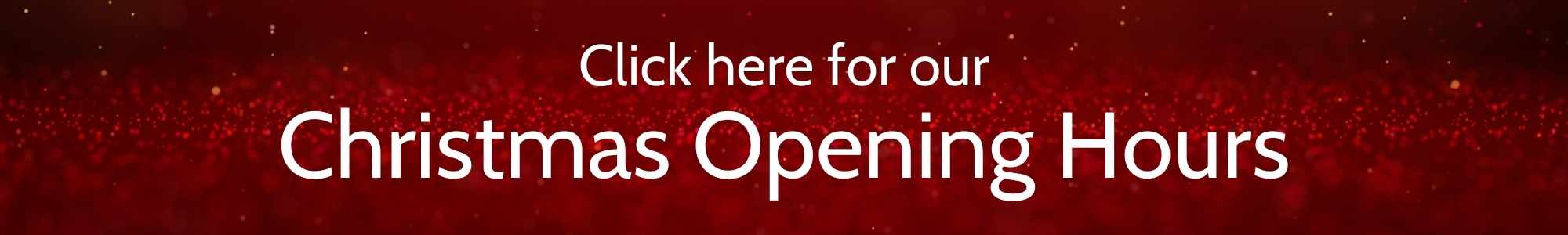 World of Water Christmas Opening Hours